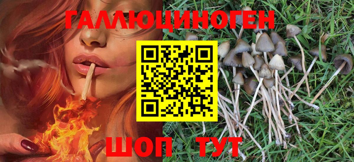 Псилоцибиновые грибы мухоморы Череповец