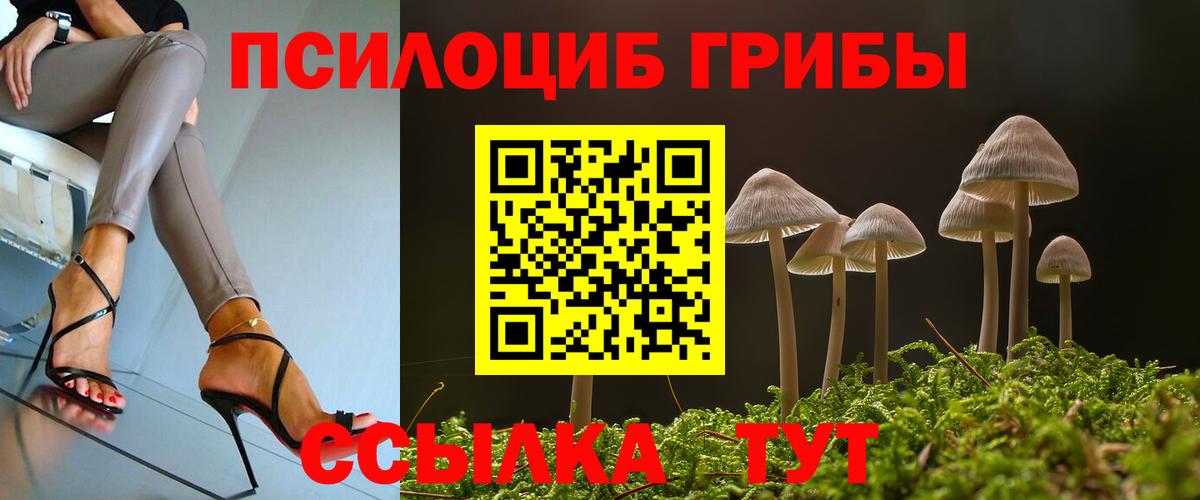 Галлюциногенные грибы Cubensis  Вход с VPN  Череповец  Галлюциногенные грибы мухоморы 